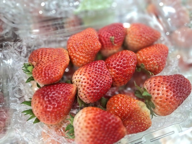 Dâu tây Sơn La 'nhuộm đỏ' chợ Việt- Ảnh 3. Dâu tây Sơn La 'nhuộm đỏ' chợ Việt- Ảnh 3.