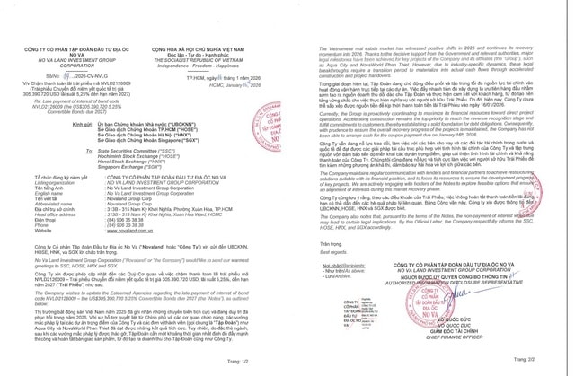 Novaland chậm trả lãi cho mã trái phiếu quốc tế trị giá hơn 305 triệu USD- Ảnh 2.