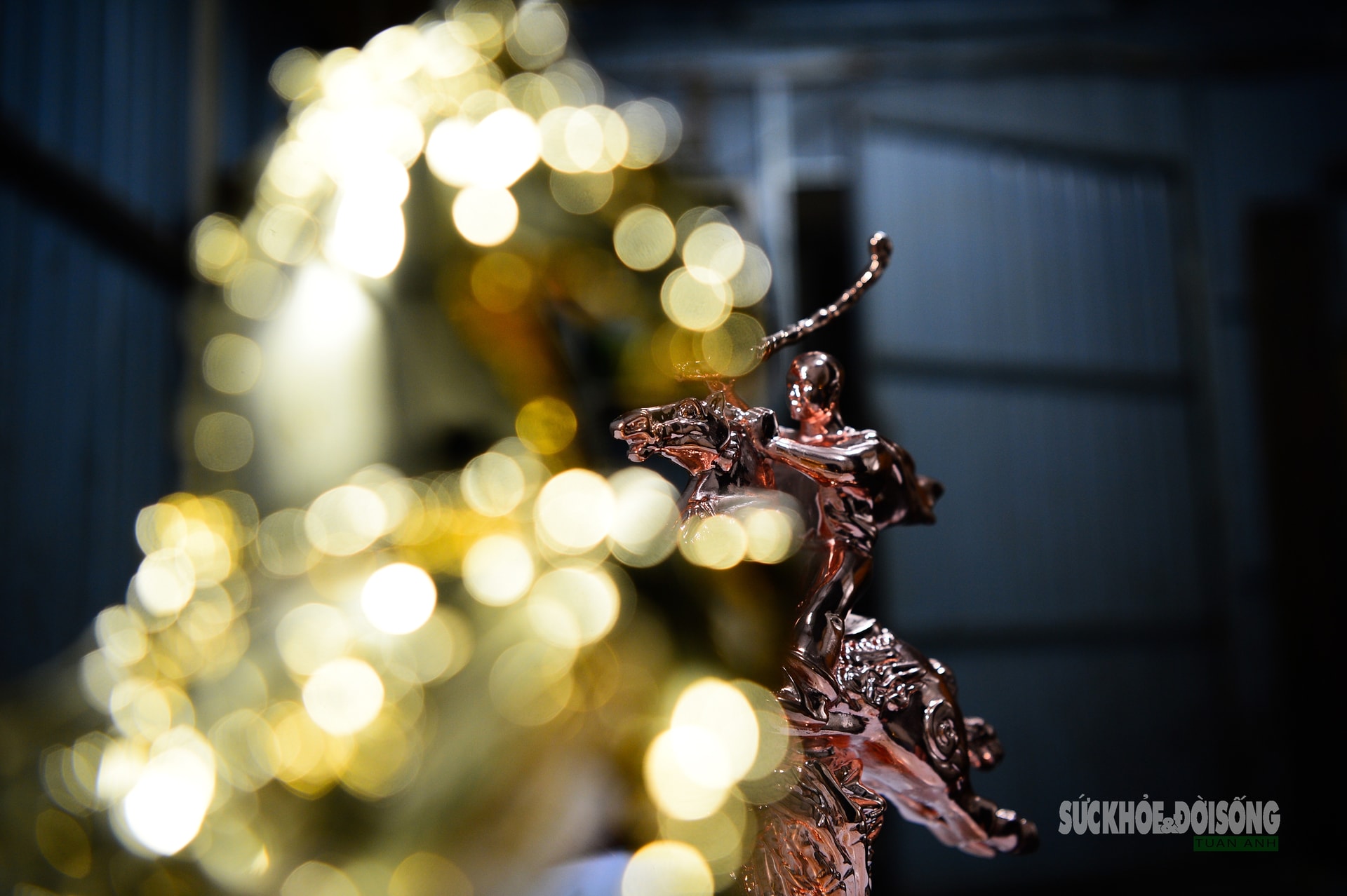 Ngắm linh vật ngựa dát vàng giá hàng chục triệu đồng- Ảnh 5.