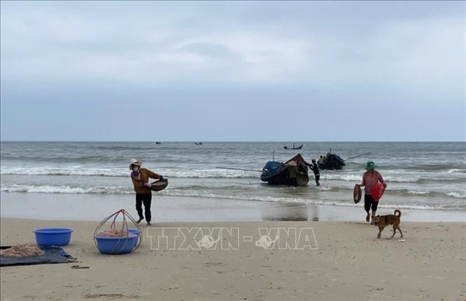 Trúng đậm mùa ruốc, ngư dân Quảng Trị thu về cả triệu đồng- Ảnh 2.