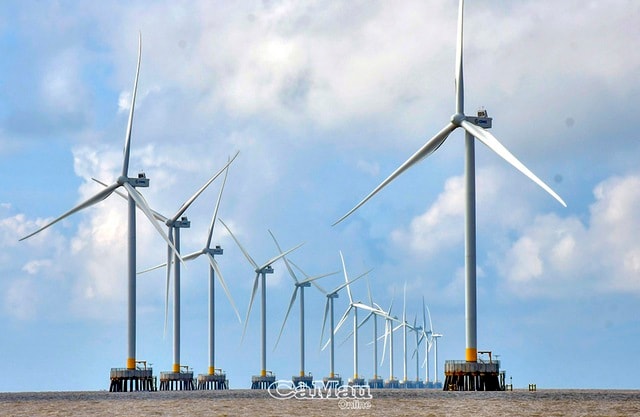 Huy động hiệu quả nguồn lực, phát huy tiềm năng, lợi thế - Động lực đưa Cà Mau phát triển nhanh và bền vững trong kỷ nguyên mới- Ảnh 3.