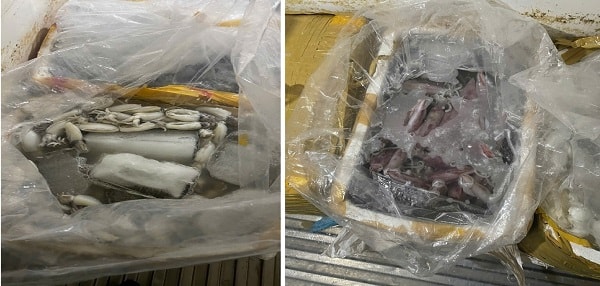 Ngăn chặn hơn 580kg thủy sản không rõ nguồn gốc sắp đưa ra thị trường- Ảnh 1. Ngăn chặn hơn 580kg thủy sản không rõ nguồn gốc sắp đưa ra thị trường- Ảnh 1.