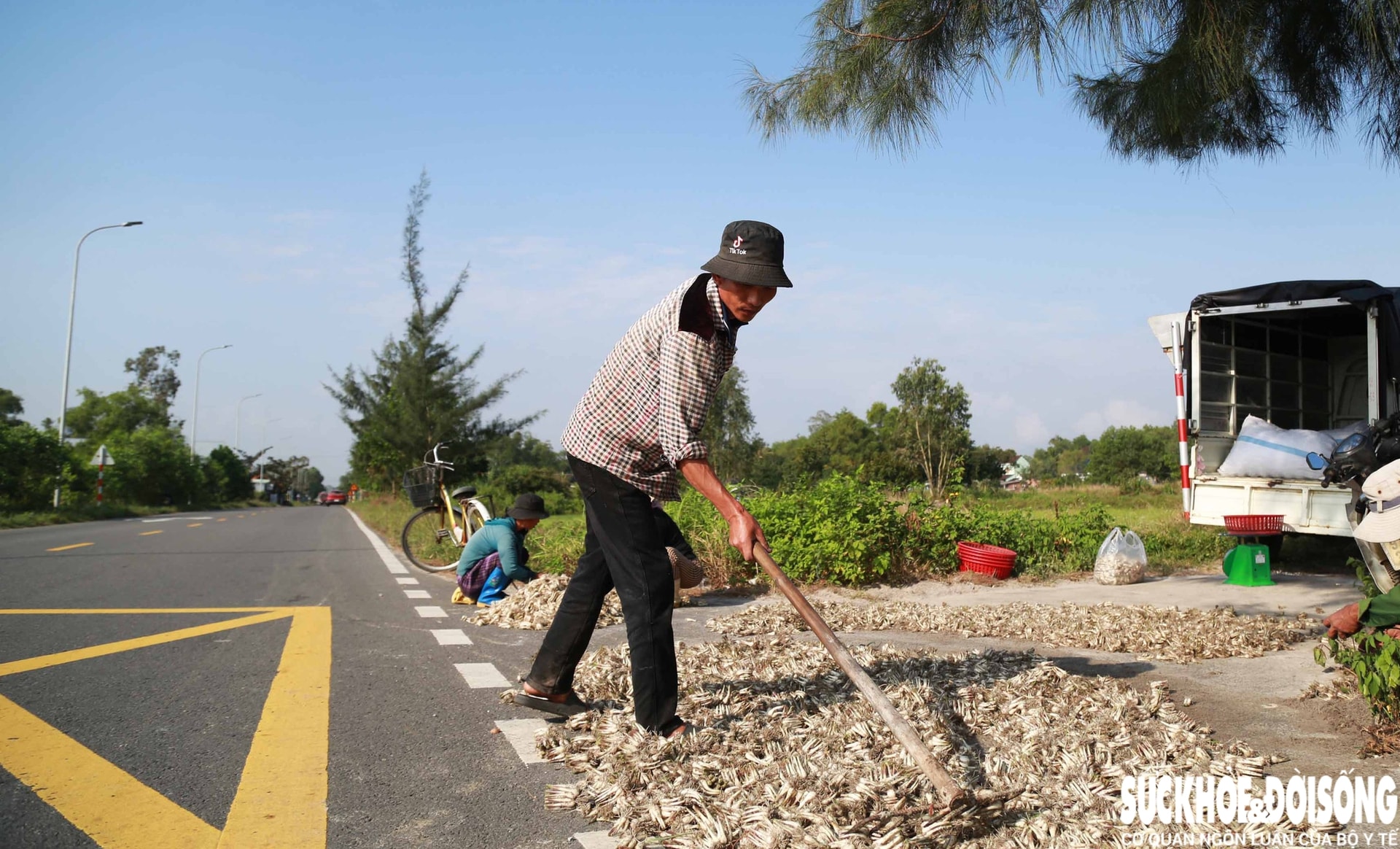 Giáp Tết, kiệu được giá, nông dân Đà Nẵng phấn khởi thu hoạch- Ảnh 13. Giáp Tết, kiệu được giá, nông dân Đà Nẵng phấn khởi thu hoạch- Ảnh 13.