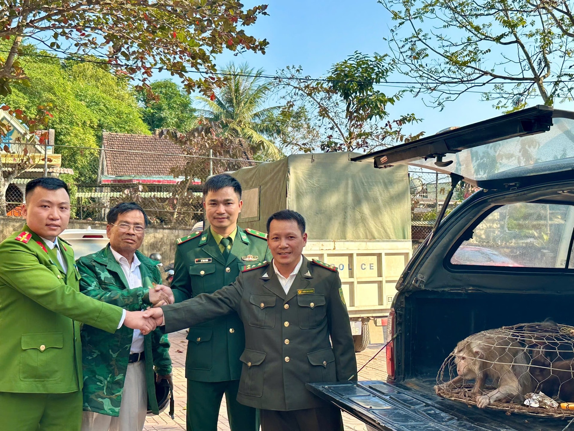 Hai cá thể khỉ quý hiếm bị thương, lạc vào rẫy người dân- Ảnh 2.