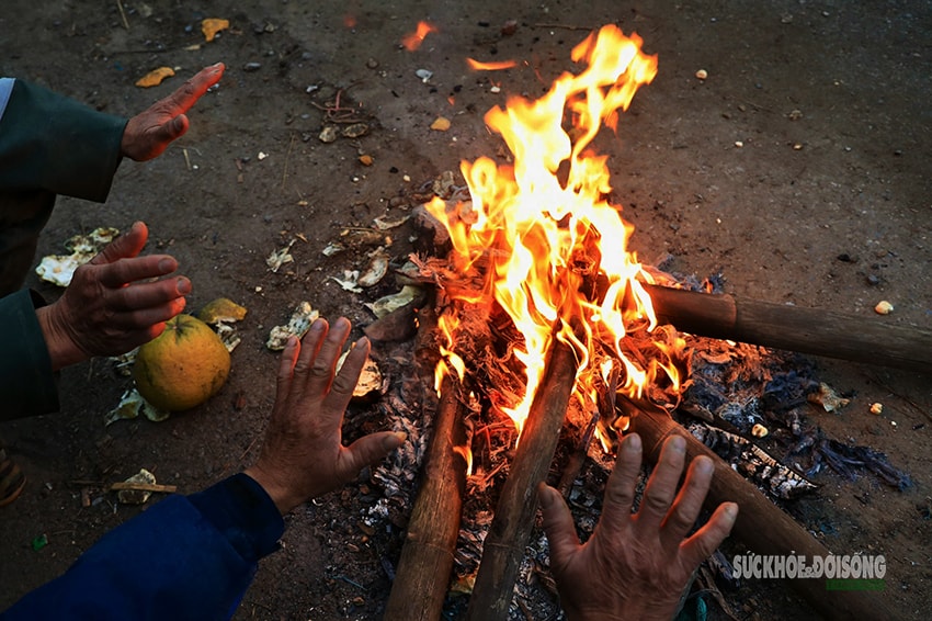 Rét 9°C, nông dân Hà Nội trùm áo mưa ra đồng chăm hoa Tết- Ảnh 10.