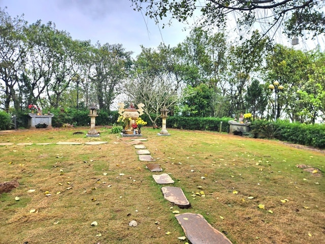 Diện mạo mới tại ‘huyệt đạo thiêng’ trên đỉnh Ngàn Nưa- Ảnh 4.