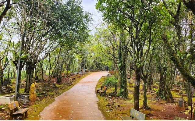 Diện mạo mới tại ‘huyệt đạo thiêng’ trên đỉnh Ngàn Nưa- Ảnh 3.