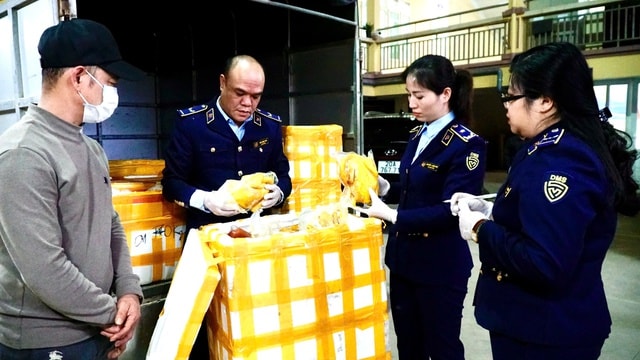 Phát hiện chân gà rút xương, gà ủ muối không rõ nguồn gốc đang trên đường đi tiêu thụ- Ảnh 1. Phát hiện chân gà rút xương, gà ủ muối không rõ nguồn gốc đang trên đường đi tiêu thụ- Ảnh 1.