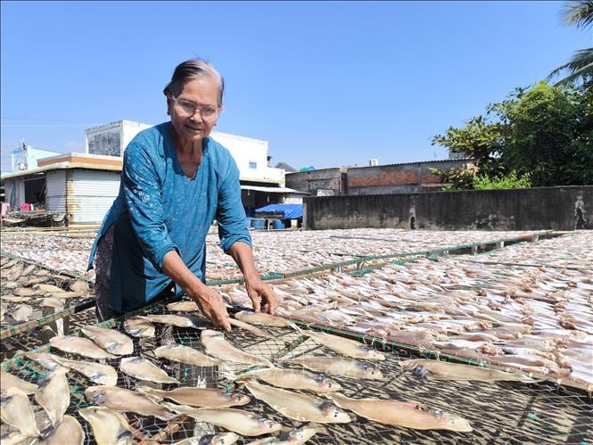 Làng nghề cá khô ven biển tăng công suất gấp 3 lần phục vụ Tết- Ảnh 1. Làng nghề cá khô ven biển tăng công suất gấp 3 lần phục vụ Tết- Ảnh 1.