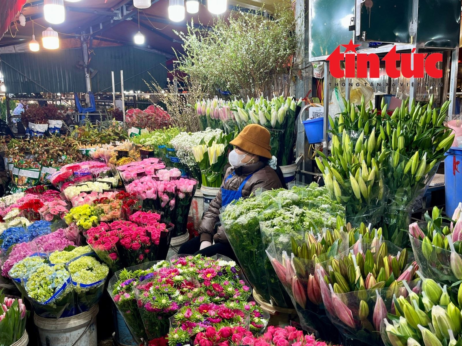 Giá hoa Tết Bính Ngọ có xu hướng tăng- Ảnh 1. Giá hoa Tết Bính Ngọ có xu hướng tăng- Ảnh 1.