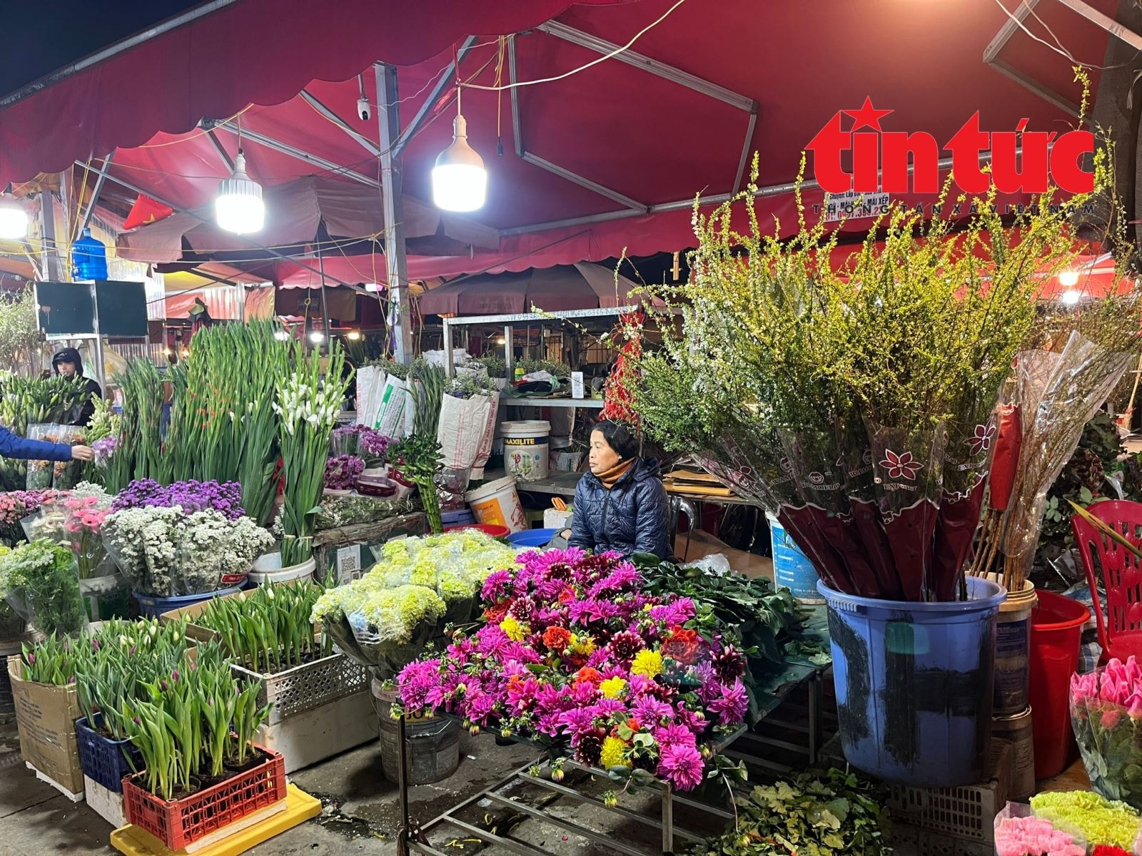 Giá hoa Tết Bính Ngọ có xu hướng tăng- Ảnh 3. Giá hoa Tết Bính Ngọ có xu hướng tăng- Ảnh 3.