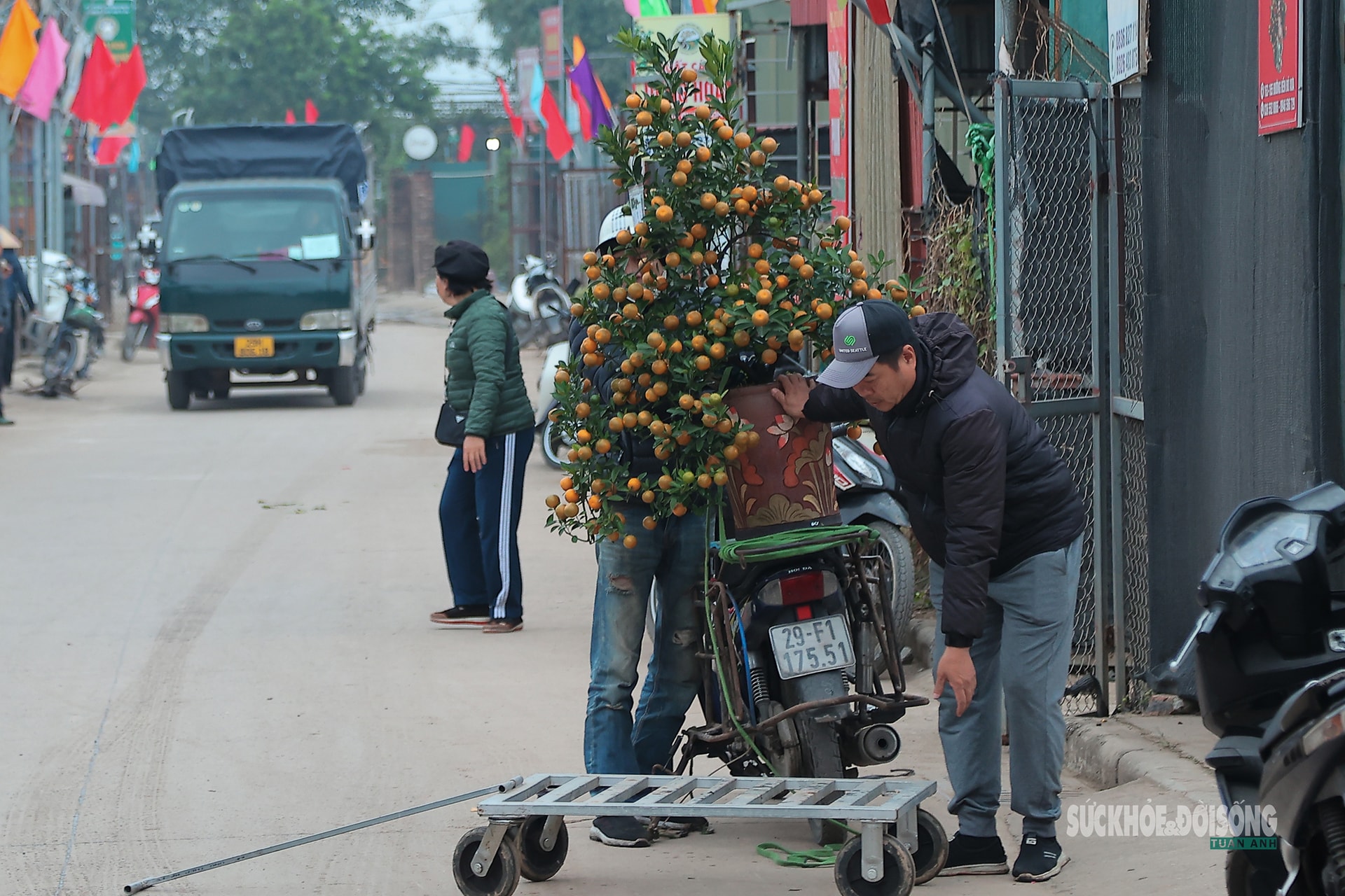 Cận Tết, người Hà Nội rộn ràng đi chọn đào, mua quất- Ảnh 11. Cận Tết, người Hà Nội rộn ràng đi chọn đào, mua quất- Ảnh 11.