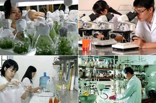 Bộ Tài chính tuyển chọn tổ chức, cá nhân chủ trì thực hiện nhiệm vụ KHCN cấp Bộ năm 2027- Ảnh 1.