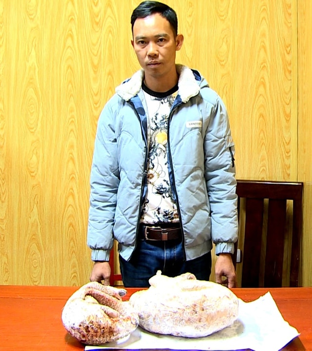 Liên tiếp bắt giữ các vụ vận chuyển động vật quý hiếm- Ảnh 1.