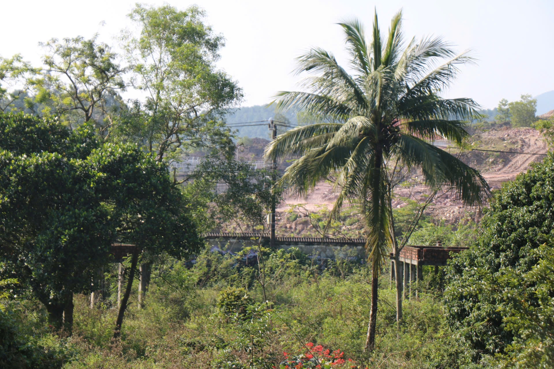 Cận cảnh khu đất sắp đấu giá làm dự án du lịch nghỉ dưỡng cao cấp ở Huế- Ảnh 4.