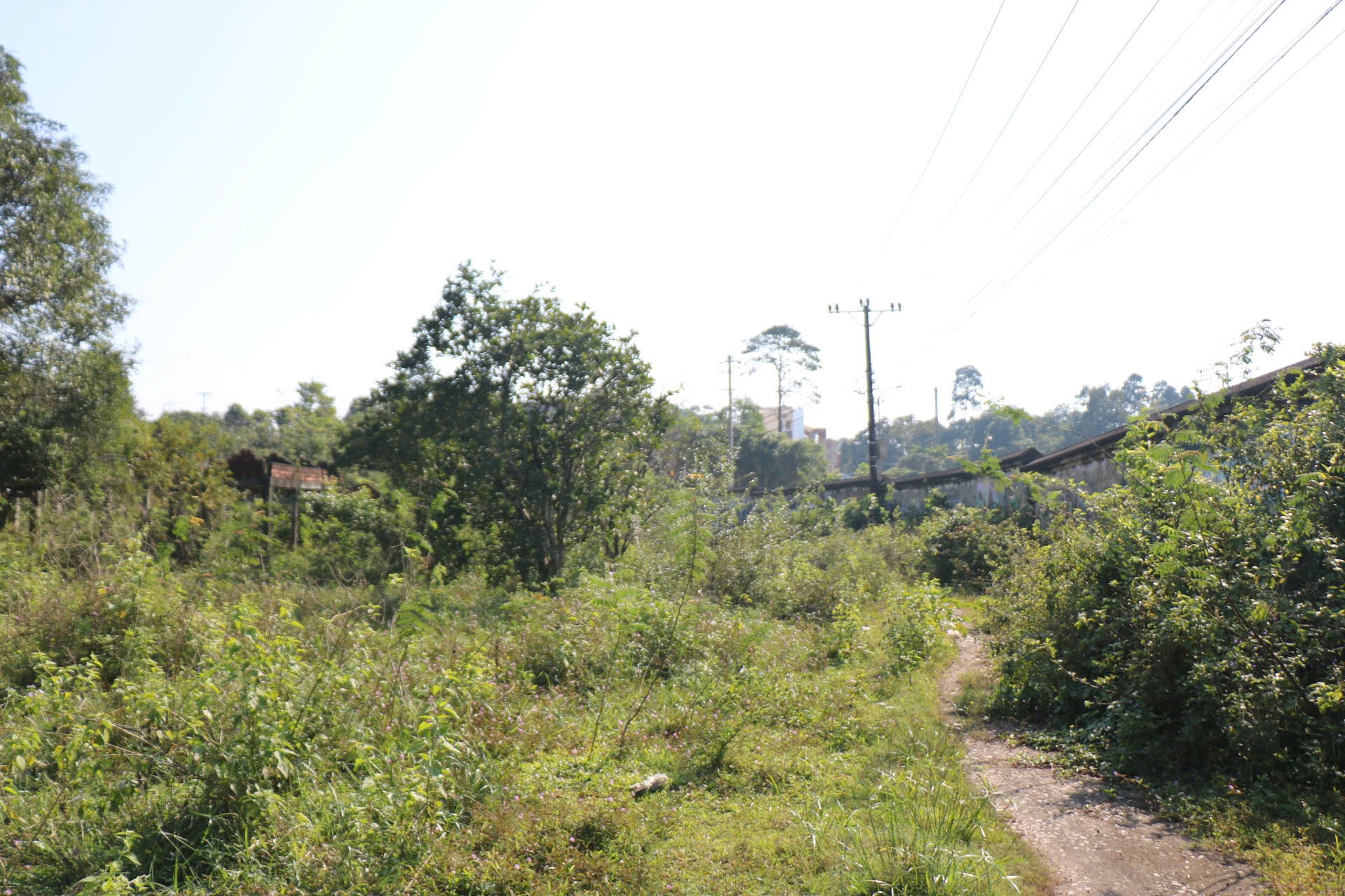 Cận cảnh khu đất sắp đấu giá làm dự án du lịch nghỉ dưỡng cao cấp ở Huế- Ảnh 10.