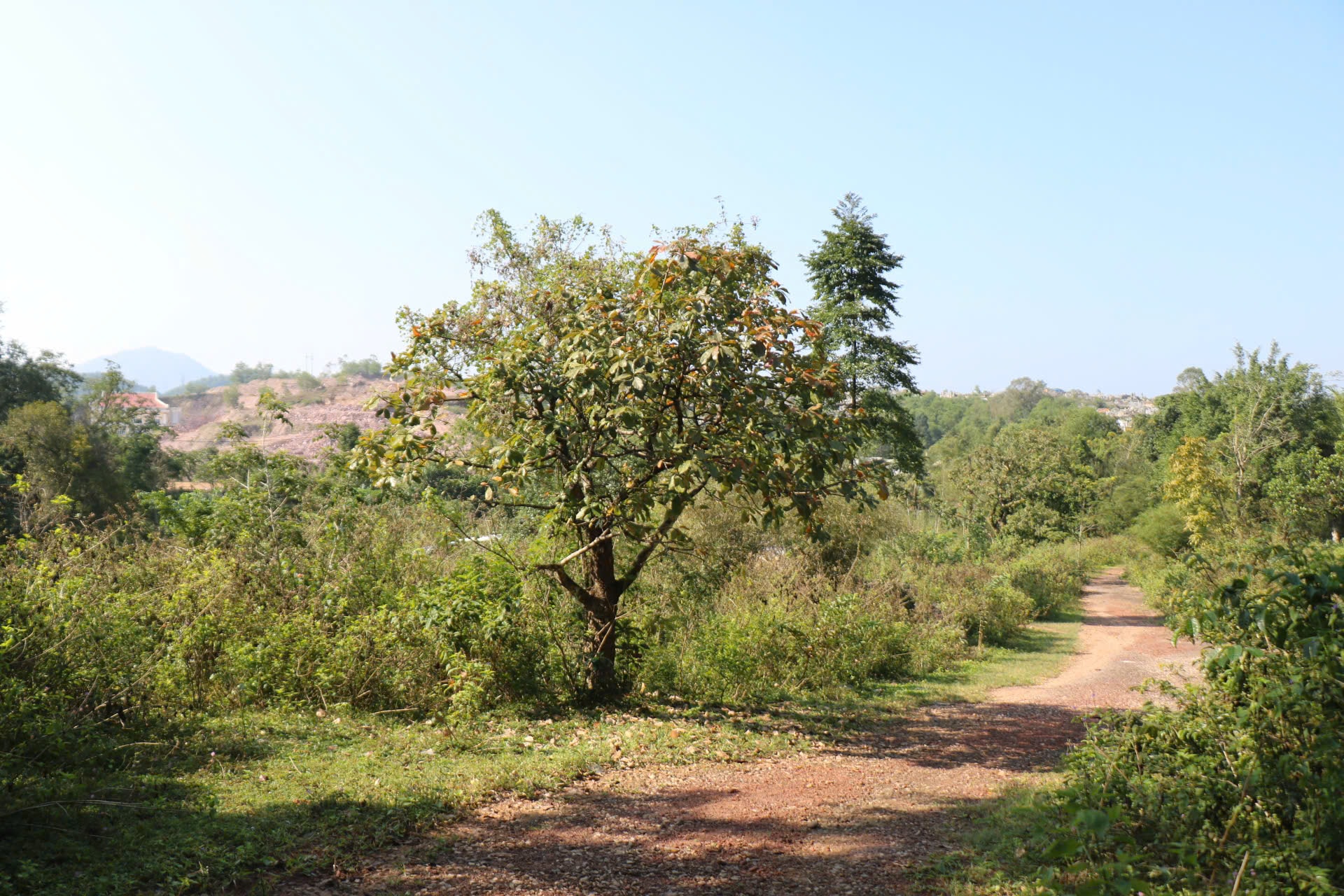 Cận cảnh khu đất sắp đấu giá làm dự án du lịch nghỉ dưỡng cao cấp ở Huế- Ảnh 6.
