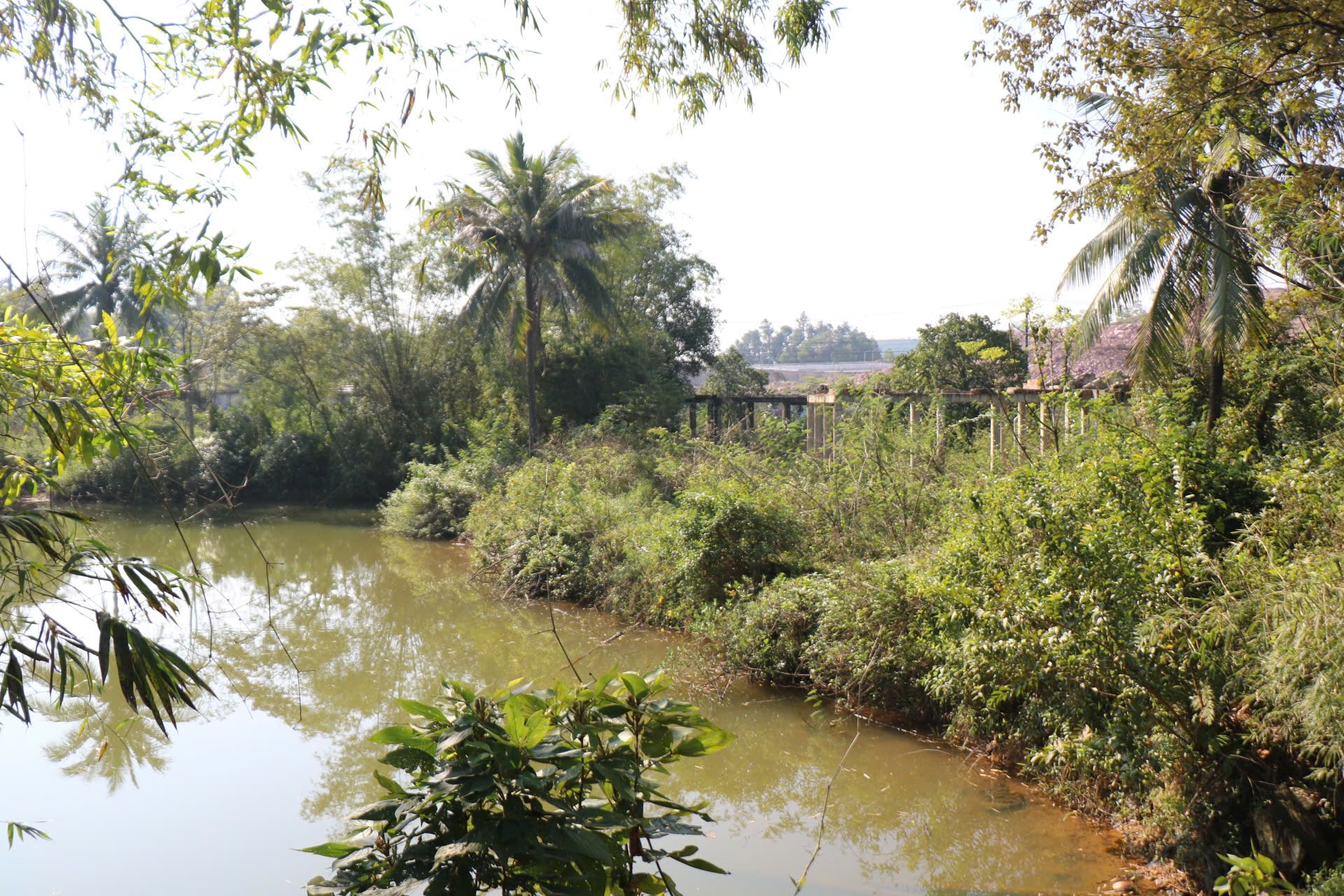 Cận cảnh khu đất sắp đấu giá làm dự án du lịch nghỉ dưỡng cao cấp ở Huế- Ảnh 5.