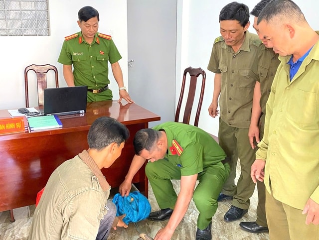 Người đàn ông bất ngờ phát hiện tê tê quý hiếm ‘đi lạc’ vào vườn- Ảnh 1.