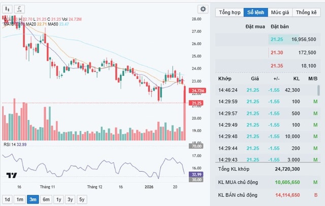 Cổ phiếu VCG của Vinaconex bị bán tháo- Ảnh 2.