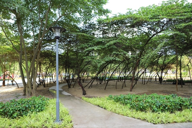 Nhiều người đổ về công viên được xây dựng trên ‘đất vàng’ bỏ hoang ở TPHCM- Ảnh 9.