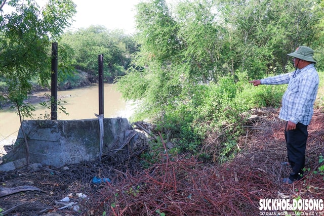 Sạt lở bờ sông Lu, người dân ở Khánh Hòa gặp khó- Ảnh 9.