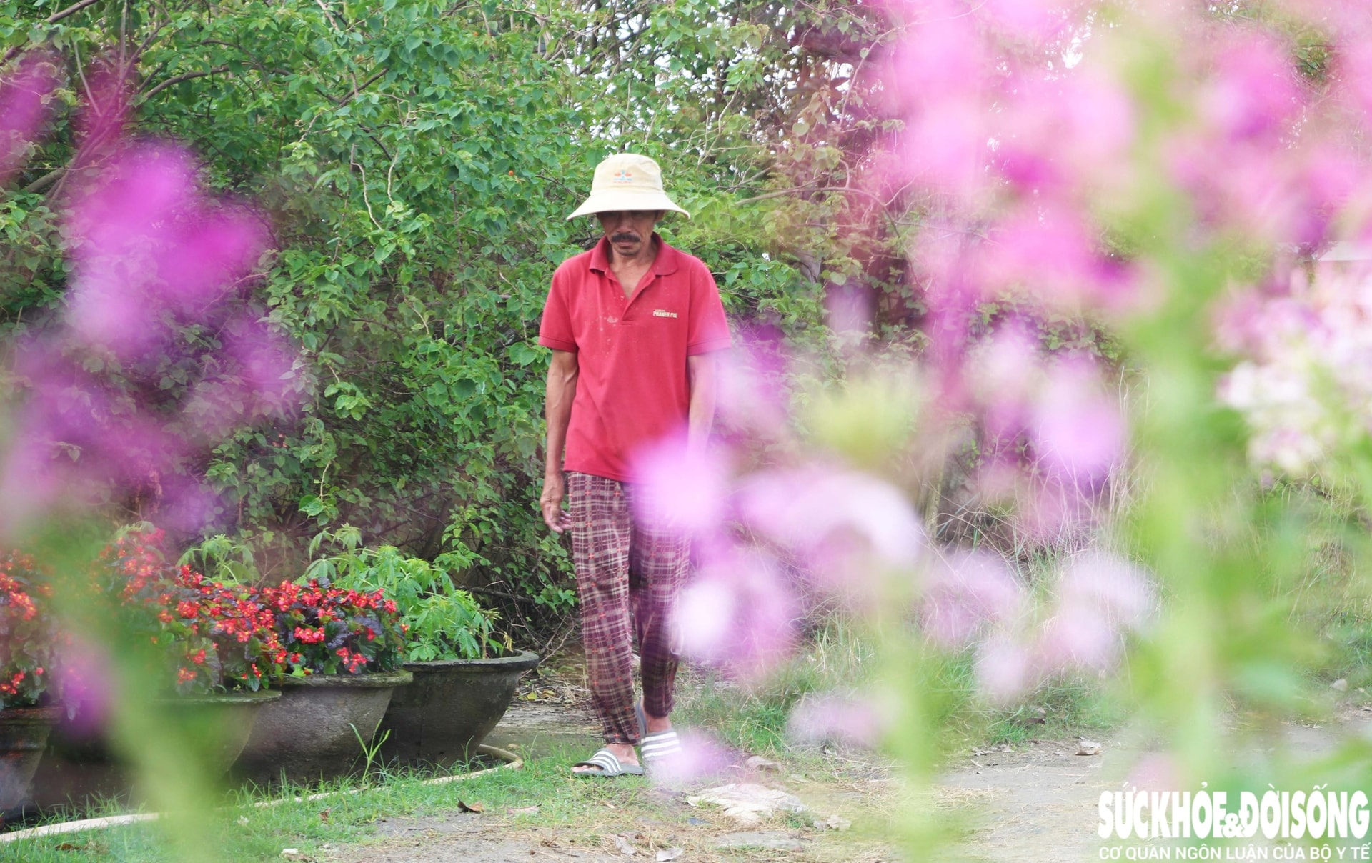 Làng hoa Đà Nẵng hồi sinh sau lũ lịch sử, rực rỡ sắc xuân - Ảnh 2. Làng hoa Đà Nẵng hồi sinh sau lũ lịch sử, rực rỡ sắc xuân - Ảnh 2.