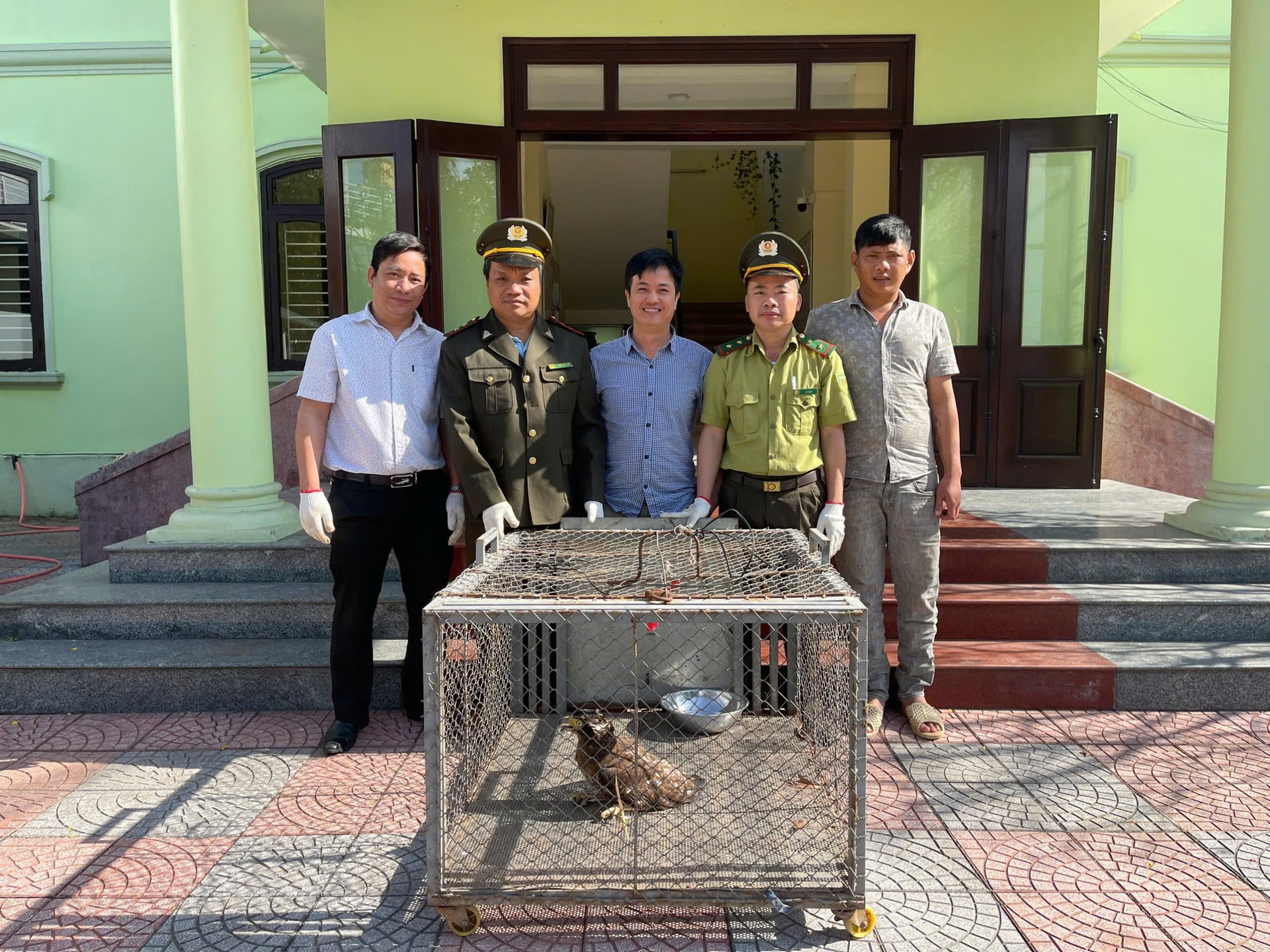 Tiếp nhận, tái thả nhiều cá thể động vật hoang dã quý hiếm ở Huế- Ảnh 1. Tiếp nhận, tái thả nhiều cá thể động vật hoang dã quý hiếm ở Huế- Ảnh 1.