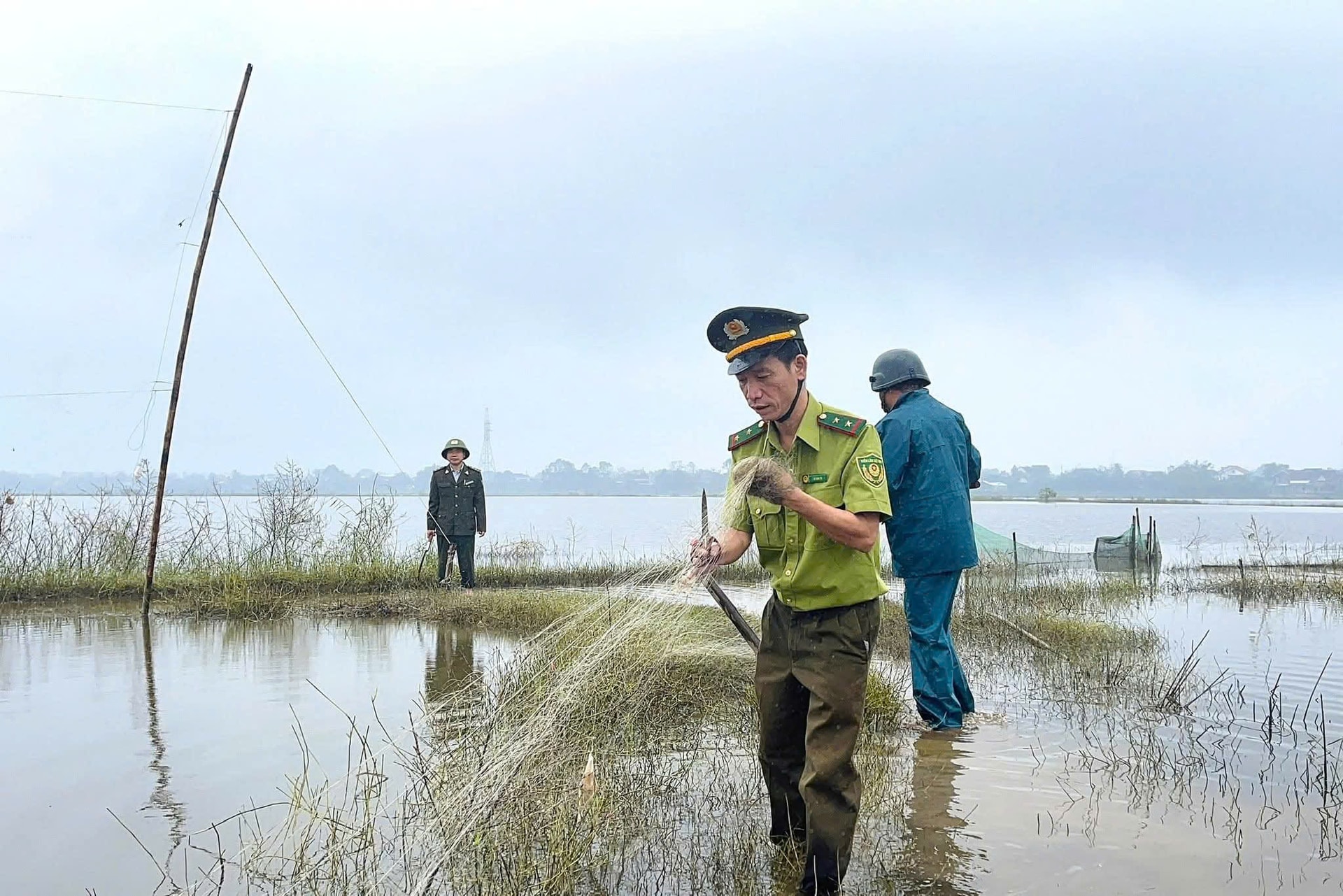 Tiếp nhận, tái thả nhiều cá thể động vật hoang dã quý hiếm ở Huế- Ảnh 4. Tiếp nhận, tái thả nhiều cá thể động vật hoang dã quý hiếm ở Huế- Ảnh 4.