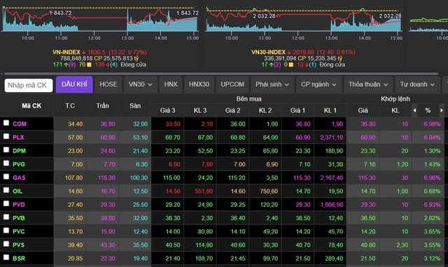 Chứng khoán tiếp tục 'bốc hơi' 13,22 điểm, cổ phiếu dầu khí đua trần- Ảnh 1.