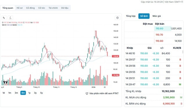Hơn 1 triệu cổ phiếu VHM giảm hết biên độ- Ảnh 1.