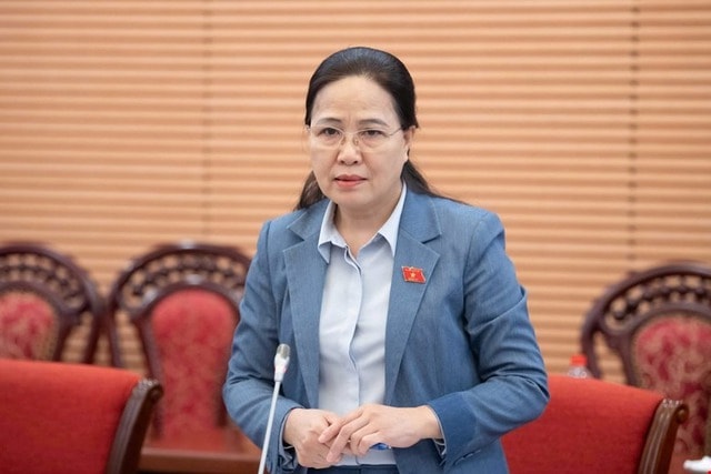 Dự kiến sẽ trình Quốc hội sửa Luật Phòng, chống tác hại của thuốc lá và Luật BHXH- Ảnh 2.