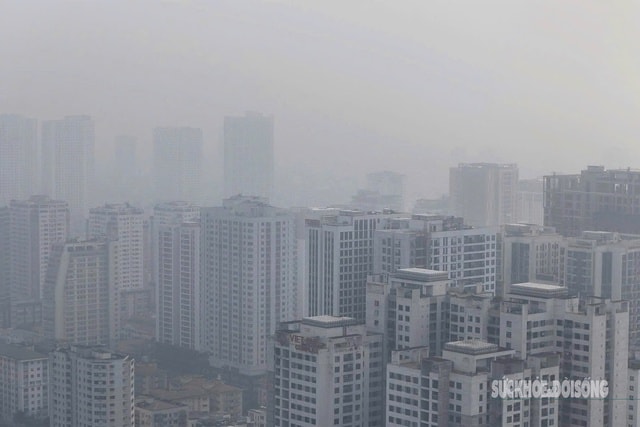 Sương mù đậm đặc ảnh hưởng đến đời sống và sức khỏe thế nào?- Ảnh 1.