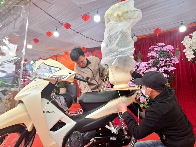 Hoa lan rực rỡ xuống phố, giá từ vài triệu đến vài chục triệu đồng- Ảnh 8.