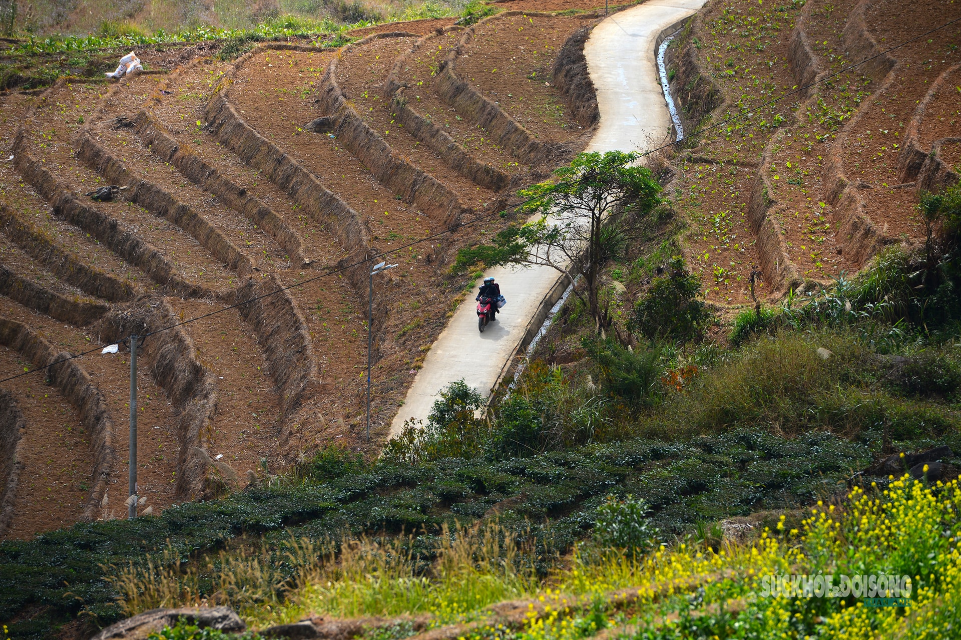 Bản Chu Va phủ trắng 'hoa tuyết'- Ảnh 9.