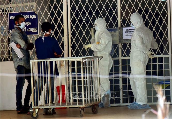 Đánh giá mới nhất của WHO về rủi ro lây lan virus Nipah từ Ấn Độ- Ảnh 1.