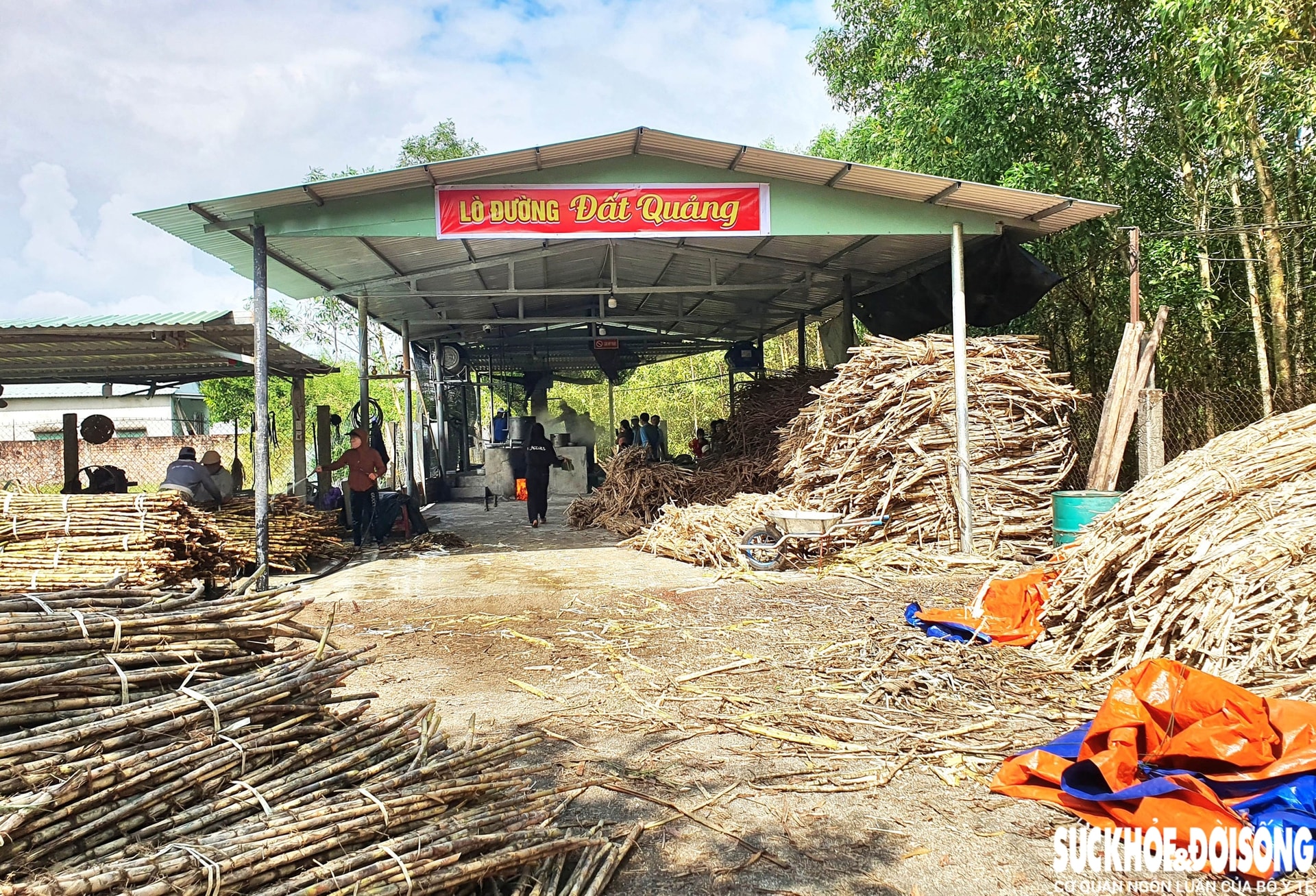 Về đất Quảng xem nấu đường thủ công, nhớ vị Tết xưa- Ảnh 8. Về đất Quảng xem nấu đường thủ công, nhớ vị Tết xưa- Ảnh 8.