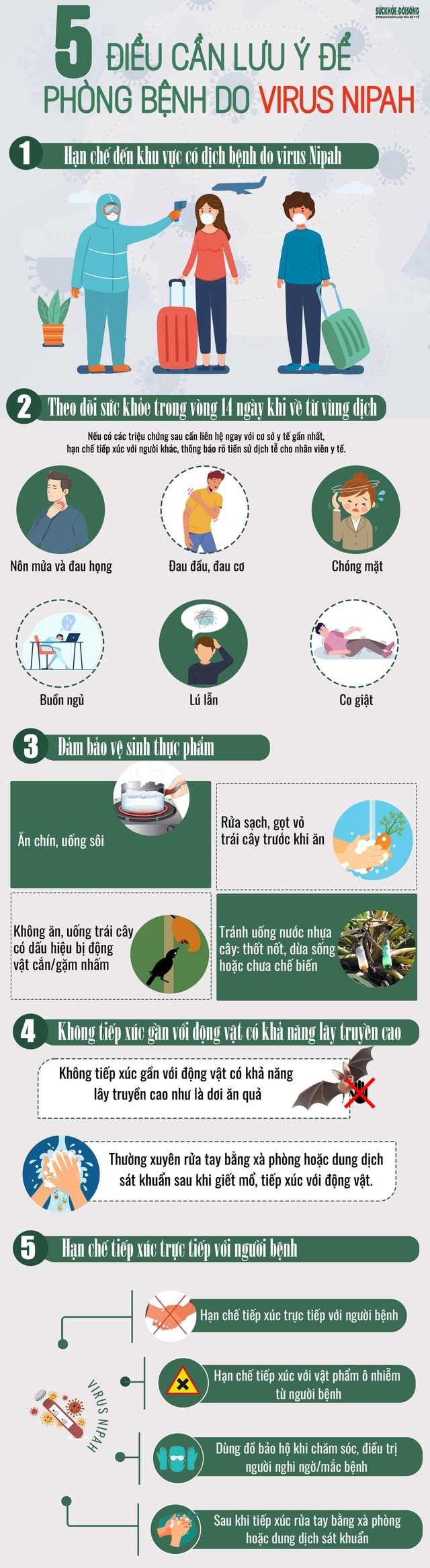 [Infographic] - 5 điều cần lưu ý để phòng bệnh do virus Nipah- Ảnh 2.