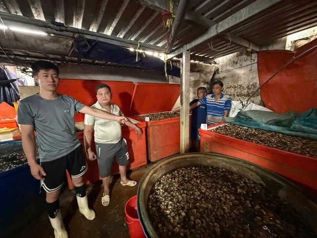 Hiểm hoạ khôn lường từ ốc ngâm 'thuỷ tinh lỏng'- Ảnh 1.