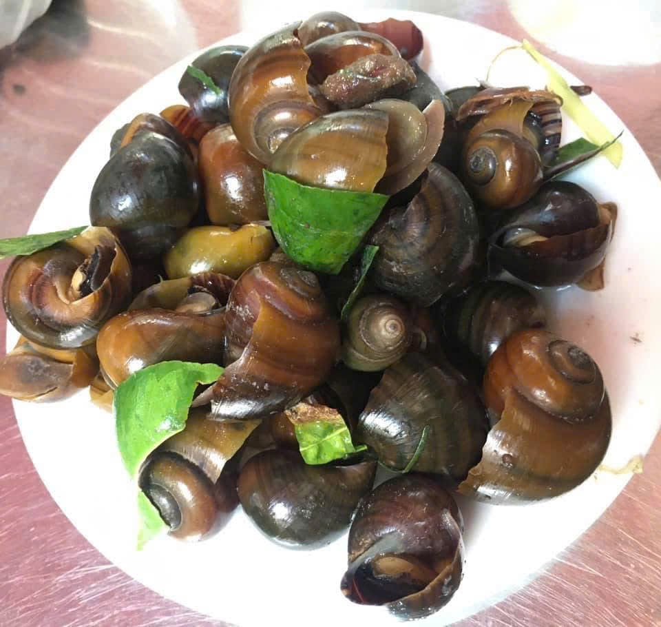Cách chọn ốc làm sẵn ngon sạch, không 'ngậm' hóa chất cho bữa cơm gia đình- Ảnh 3.