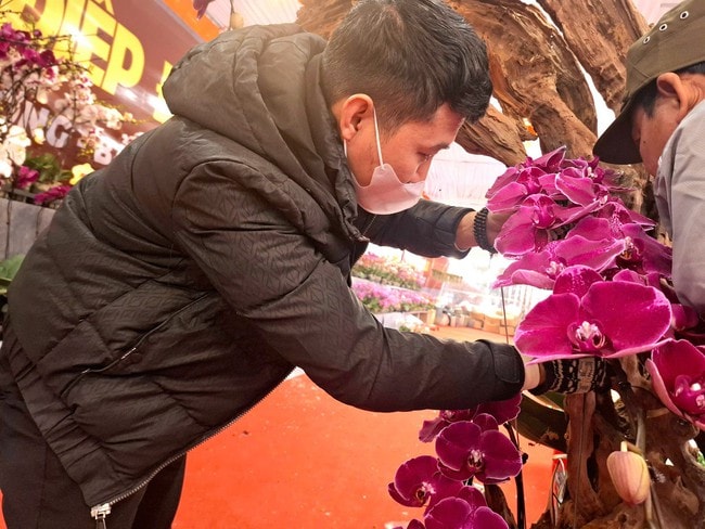'Nâng mặt' hoa lan giúp bỏ túi chục triệu đồng dịp cận Tết: Nghề tay trái nhưng không phải 'dễ ăn'- Ảnh 2.