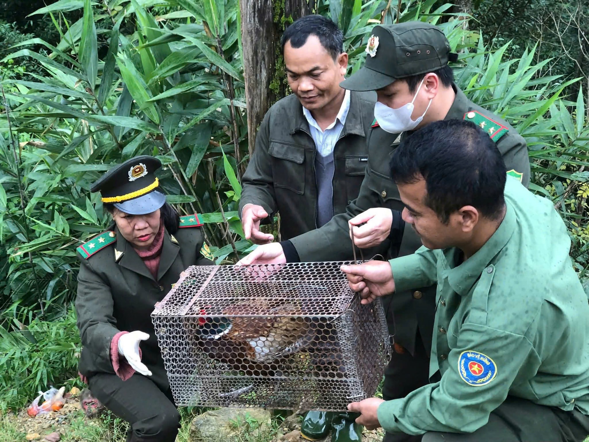 Rừng tự nhiên ở Huế ghi dấu sự hiện diện của nhiều loài động vật quý hiếm- Ảnh 3.