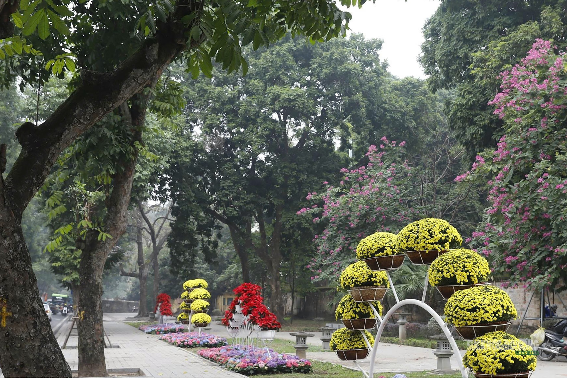 Phố 'vàng' Hà Nội trước đề xuất quy hoạch cảnh quan- Ảnh 9.