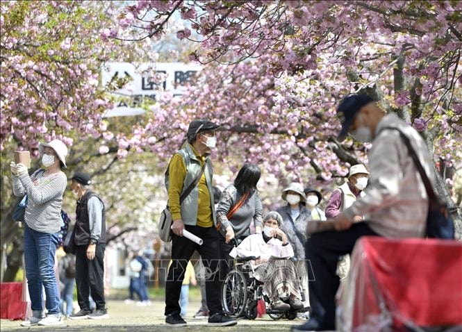 Bất ngờ gen di truyền là yếu tố chính quyết định tuổi thọ con người- Ảnh 1.