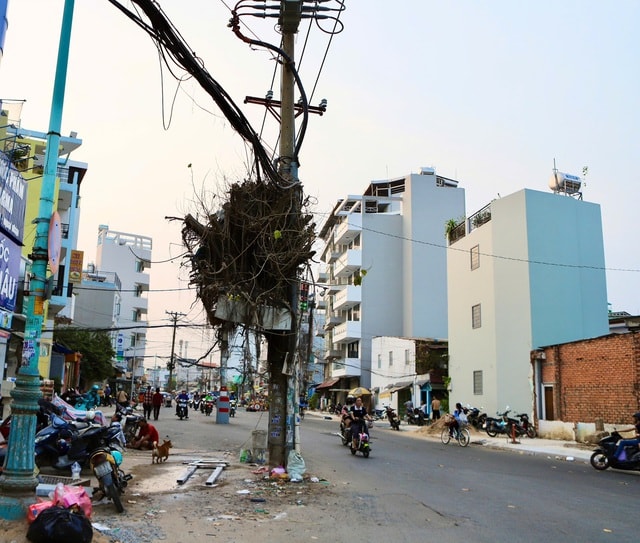 Dãy cột điện ‘án ngữ’ giữa tuyến đường hơn nghìn tỷ đồng ở TPHCM- Ảnh 8.
