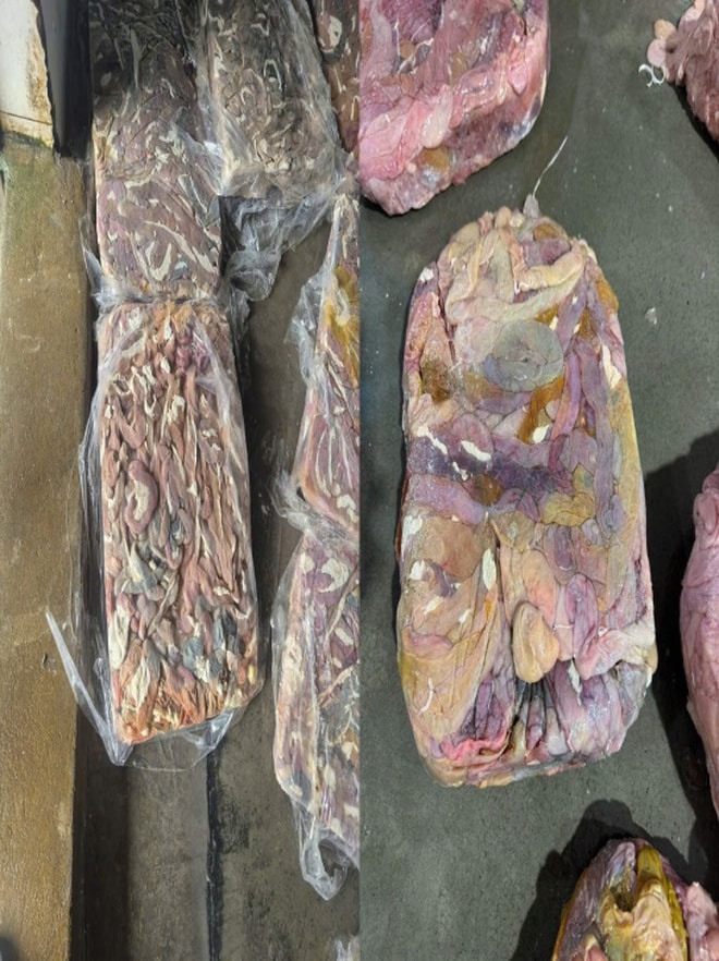 Phát hiện cơ sở chế biến thực phẩm bẩn, thu giữ hơn 60 tấn lòng lợn đông lạnh bốc mùi - Ảnh 1.