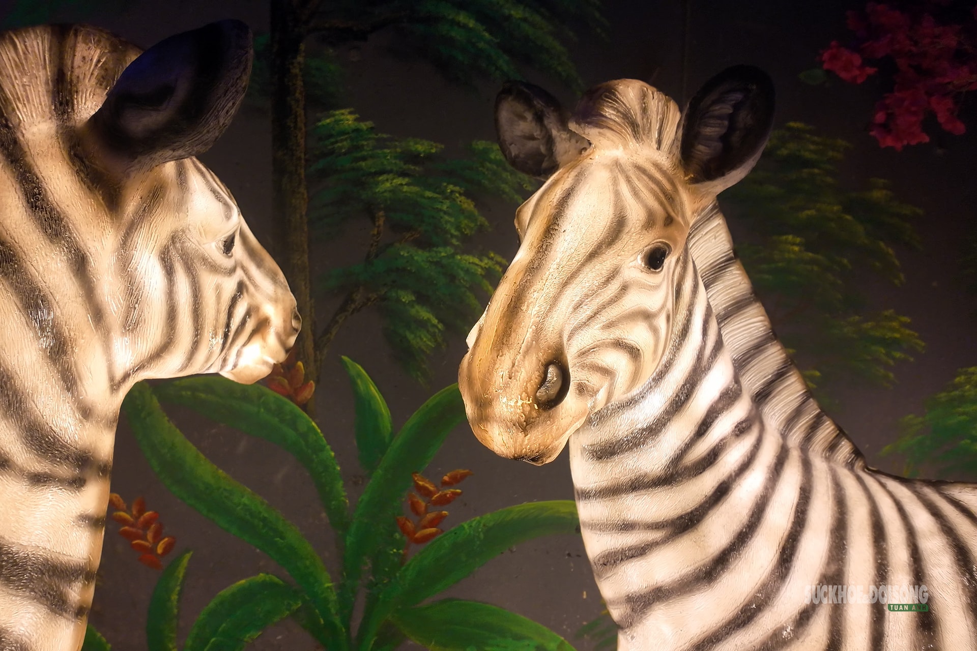 Cận cảnh một Safari huyền bí trên đỉnh Ô Quy Hồ- Ảnh 3. Cận cảnh một Safari huyền bí trên đỉnh Ô Quy Hồ- Ảnh 3.