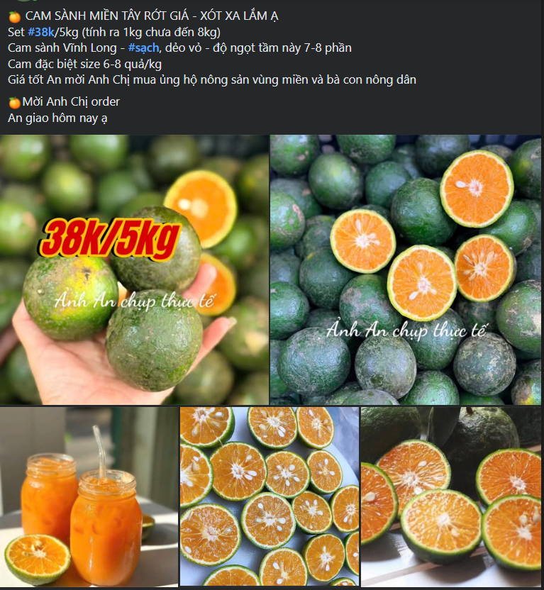 Một loại cam Việt đổ đống bán đầy chợ giá rẻ hơn rau, chỉ vài nghìn đồng/kg nhưng rất thanh mát, bổ dưỡng- Ảnh 3.