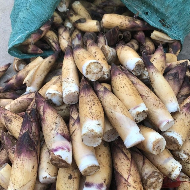 Măng vầu vào mùa, giá cao nhưng vẫn ‘đắt khách’- Ảnh 1.