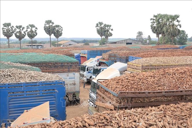 10 sự kiện kinh tế Việt Nam nổi bật tuần qua- Ảnh 1.